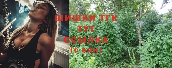 гидра Абаза