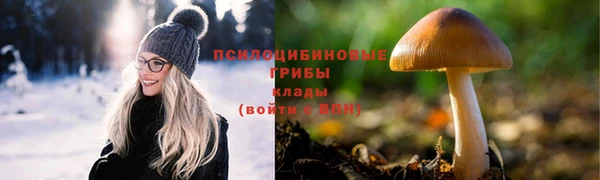 ешки Абдулино